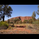 Uluru vom Aboriginal Cultural Center aus gesehen